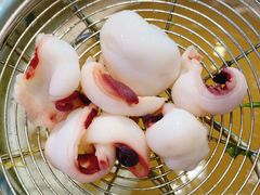 冰鲜章鱼足片-盒马鲜生(宝地店)