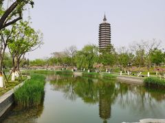 -西海子公园