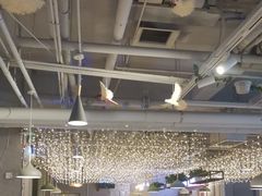 -京城·森鸽排档(双井店)