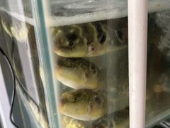 -双桥饭店(锦溪店)