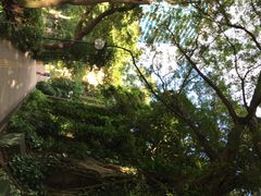 九龙公园-九龙公园