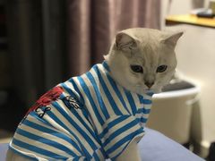 -爱诺耐芙动物医院(万博店)