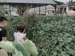 -大连北马山庄