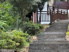 -敬亭山风景名胜区