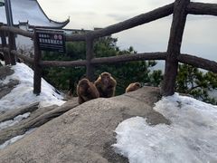 -九华山风景区