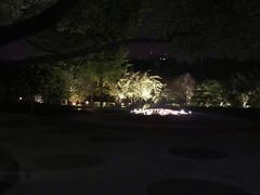 -嘉定紫藤园