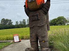 -嘉北郊野公园