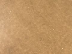 -西中岛海滨