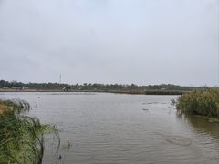 -春花秋色城市公园