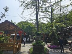 -青城甲(青城山店)