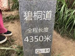 -梧桐山风景名胜区