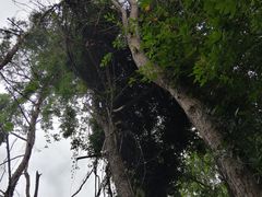 -天台山赤城山景区