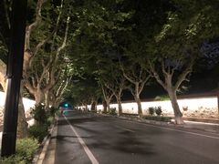-橼舍鮨青木