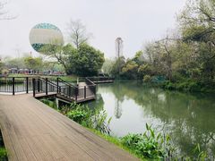 -西溪国家湿地公园