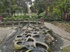 -成都市活水公园