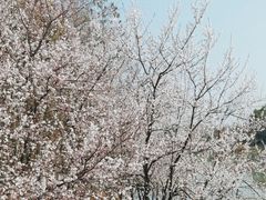 -苏州太湖国家湿地公园