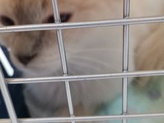 -美联众合动物医院·24h京西诊疗中心
