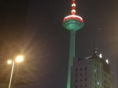 -辽宁电视塔