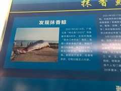 -上海海洋大学鱼文化博物馆(军工路校区)