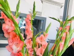 -小徽舟臭鳜鱼(雅清街店)