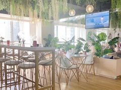 -Husky Go! 哈士奇体验馆·宠物咖啡厅狗咖