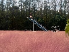 -嘉北郊野公园