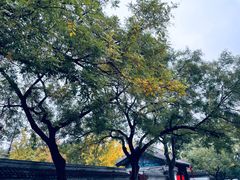 -北京国子监胡同