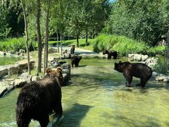 -北京野生动物园
