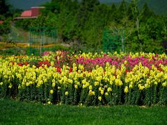 -中国香山·寿香谷