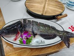 -小厨家松花江.鲜鱼坊(天麻滋补鱼汤店)