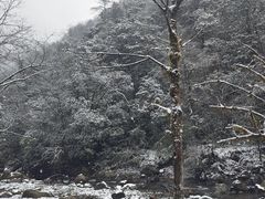 -西岭雪山大飞水景区
