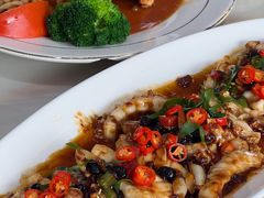 -港升鱼师傅·中山脆肉鲩