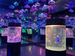 -洛阳龙门海洋馆