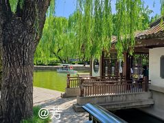 -团结湖公园