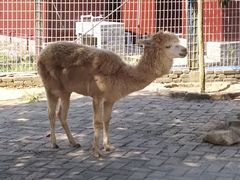 -武汉紫薇都市田园