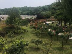 -中国西峡恐龙遗迹园