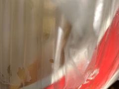 -汪记大王锅贴(成山路店)