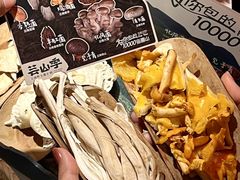 -芸山季·云南山珍菌火锅(人民广场来福士店)