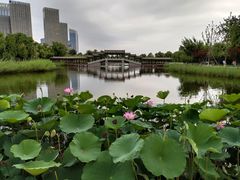 -西海子公园