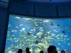 -海合安武汉极地海洋公园