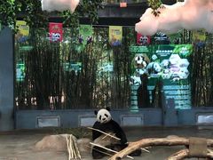 -海南热带野生动植物园