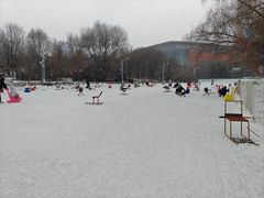 -沈阳奥体冰雪嘉年华
