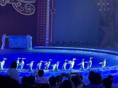 -珠海横琴长隆《卡卡虎奇遇记》