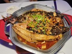 -马邦子·紫苏烤鱼(恒隆广场店)