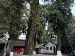 -武侯墓风景区
