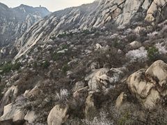 -北京凤凰岭