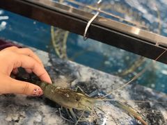 -SHRIMP CLUB万东餐饮钓虾·清吧