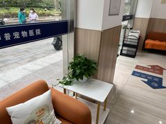-申普宠物医院·眼科·心内科·影像科(普陀分院)