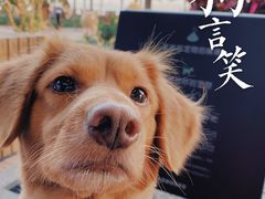 -星巴克(珠海仁恒滨海中心店)
