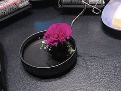 -大拙里·精致融合菜(沙湖桃源国际店)